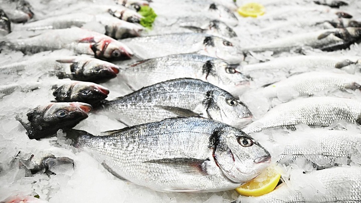 Эксперт назвал самую доступную рыбу в России